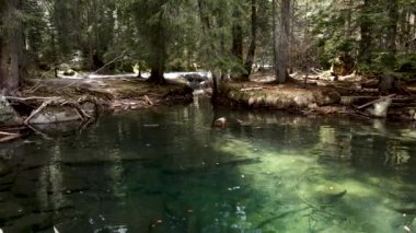  Aerial Drone - Overview of an Alpine Lake