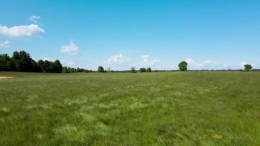  Hava Aracı - Bir Tarlada Bahar Manzarası