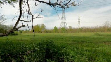  Summer Landscape in the Woods - 5K