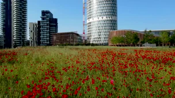 Εναέρια Κηφήνας Εαρινό Τοπίο Ενός Πεδίου Poppy Στο Μιλάνο — Αρχείο Βίντεο