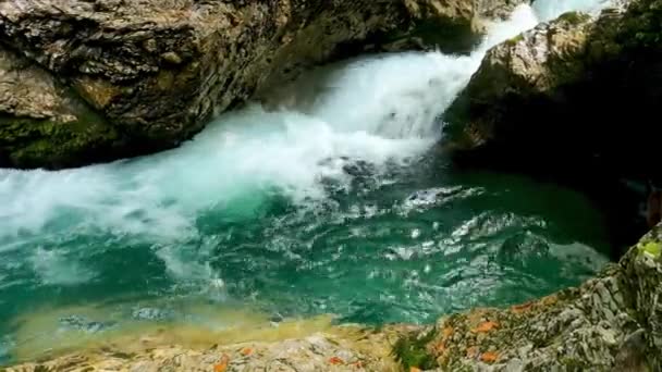 緑の水でドロマイトのストリーム上の風景 — ストック動画