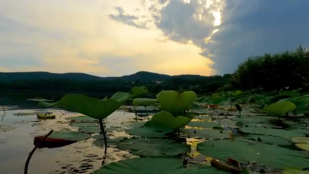 Sunset Landscape Lake Corgeno — Vídeos de Stock