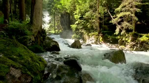 ドロマイトの森の中のストリームと風景 — ストック動画