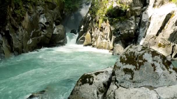 Spectacular Landscape Dolomites Forest — Stockvideo