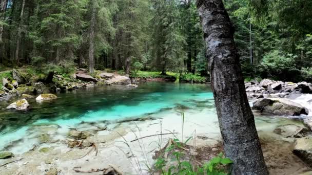 Landscape Turquoise Lake Italian Dolomites — Αρχείο Βίντεο