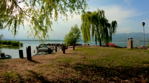 Summer Landscape Lake Varese — Video