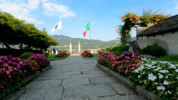 Summer Landscape Flowers Lake Orta Italy — Vídeo de Stock