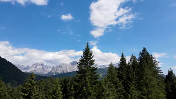 Aerial Drone Landscape Dolomites Fir Trees Blue Sky — Stockvideo