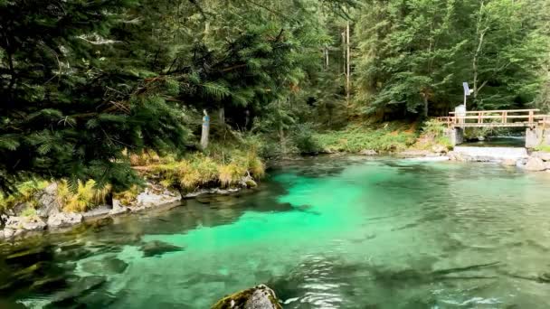 Spectacular Summer Landscape Lake Turquoise Amola — Vídeo de Stock