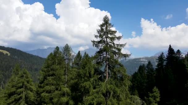 Drone Lotnicze Alpejski Krajobraz Dolomitach Włoskich — Wideo stockowe