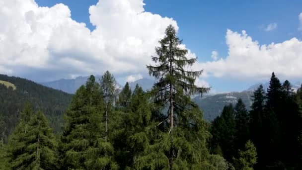 Drone Aéreo Paisagem Alpina Nas Dolomitas Italianas — Vídeo de Stock