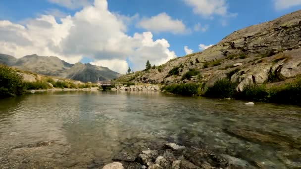 Panorama Alpine Stream Summer — Vídeos de Stock