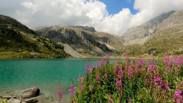 Fantastic Relaxing Landscape Italian Alps — Vídeos de Stock