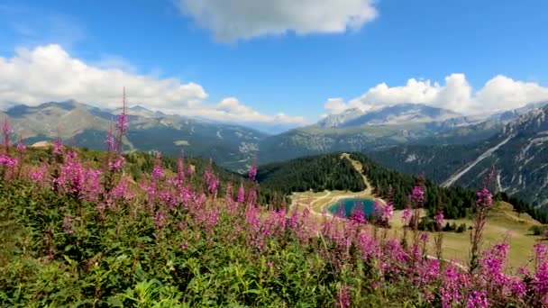 Pembe Çiçekli Dolomit Manzarası — Stok video