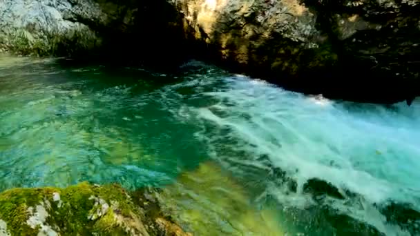 Landschaft Eines Alpenflusses Mit Grünem Wasser — Stockvideo