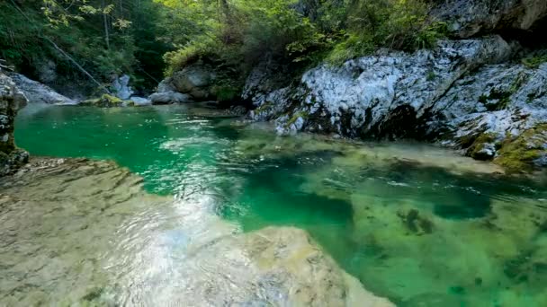 Krajobraz Alpejskim Potoku Zieloną Wodą — Wideo stockowe