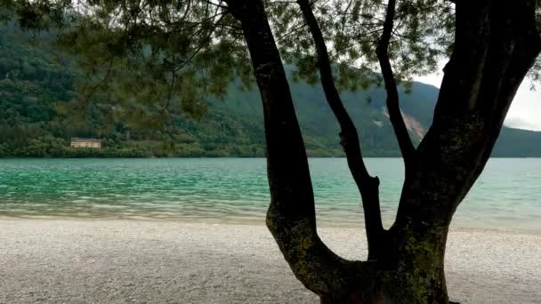 Letni Krajobraz Alpejskim Jeziorze Molveno — Wideo stockowe