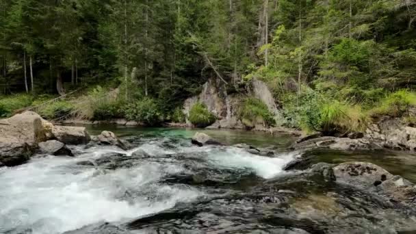 Krajobraz Alpejski Nad Jeziorem Czarnym — Wideo stockowe