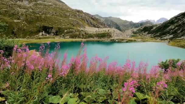Paisagem Fantástica Lago Alpino Com Água Azul Turquesa Flores Rosa — Vídeo de Stock