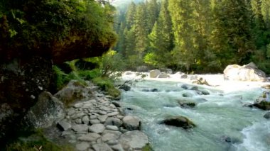 Dolomitler Ormanı 'ndaki manzara - 5K
