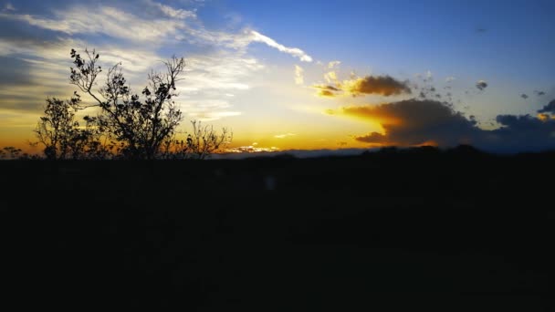 Luchtdrone Fantastisch Landschap Het Bos Bij Zonsondergang — Stockvideo