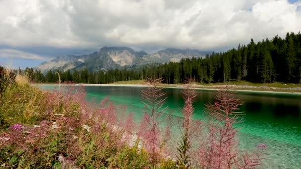 Фантастичний Пейзаж Альпійському Озері Монтаньолі — стокове відео