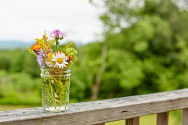 Çırılçıplak Ahşap Tırabzanda Yaban Çiçeği Düzenleme Arkaplanda Yeşillik ve Gökyüzü, Yatay Görünüm