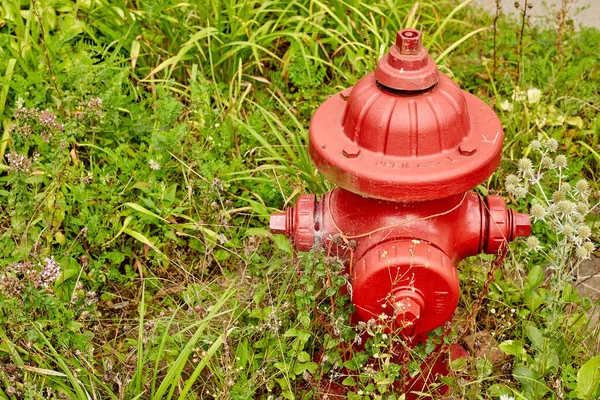 Red Fire Hydrant Weeds Wide View Right Frame — Fotografia de Stock