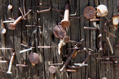 Paslı Tırnakları, Zımbası ve Örümcek Ağı olan Yaşlı Ahşap