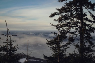 Çam ağacıyla Kış Vadisi Manzarası 