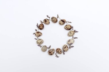 Beyaz arka planda çiçekli bıldırcın yumurtası çelengi