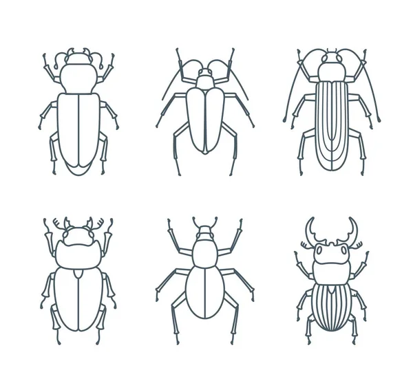 Conjunto Iconos Escarabajo Contorno Simple Golpe Editable — Archivo Imágenes Vectoriales