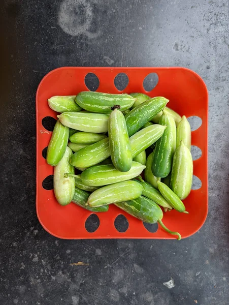 ivy gourds looking fresh and green placed on a red bowl for cleaning before cooking 