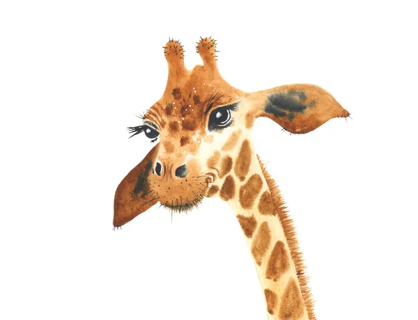 Affisch Med Giraff Akvarell Tecknad Giraff Tropisk Djur Illustration Jungle — Stockfoto