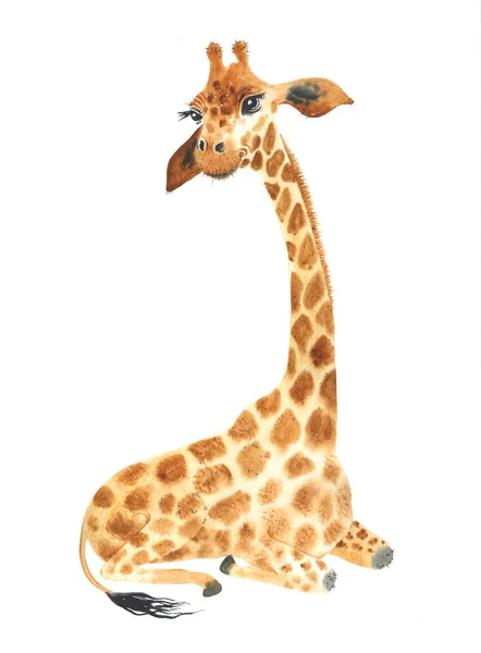 Poster Baby Giraffe Watercolor Cartoon Giraffe Tropical Animal Illustration Jungle — Stock Photo, Image