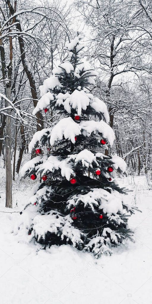 Christmas tree, decorated with red balls, covered with snow