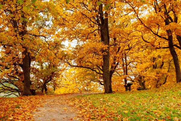 Живописный Осенний Пейзаж Холме Недалеко Города Дубингяй Литва Лицензионные Стоковые Фото