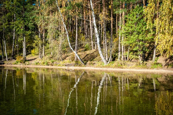 Tree trunks in autumn are reflected in the water of Lake Baltieji Lakajai in Labanoras Regional Park, Lithuania.