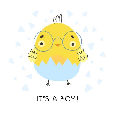 Yumurtadan çıkan sevimli sarı tavuk yavrusu. O bir erkek! Aileden bir bebek. Paskalya tasarımı için yeni doğmuş küçük sarı çizgi film pilici. Çizgi film vektör illüstrasyonu.