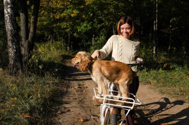 Kısa saçlı Z Gen kadını, sonbahar sezonu boyunca ormanda bisiklete biniyor. Yanında İngiliz cocker köpeğiyle sepette oturuyor. Evcil hayvanlarla yerel seyahat, aktif yaşam tarzı konsepti.