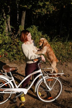 İngiliz cocker spaniel bisiklet sepetinin üzerinde duruyor ve gülen genç bayan sahibiyle oynuyor. Sonbahar sezonu, açık hava aktiviteleri, dijital detoks konsepti.. 