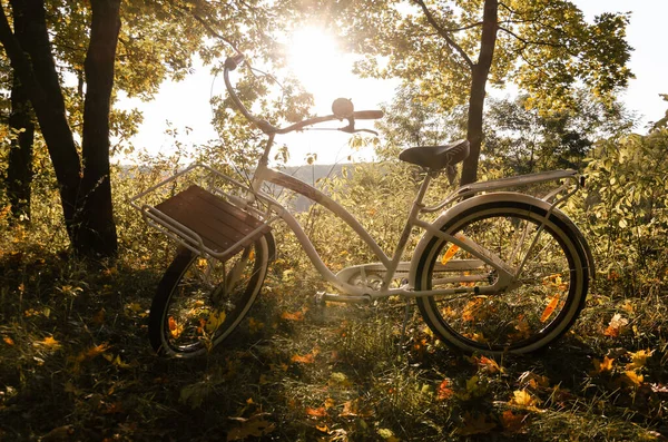 White bicycle with wooden basket is standing in the autumn forest on a sunny day. Sustainable local travel concept.