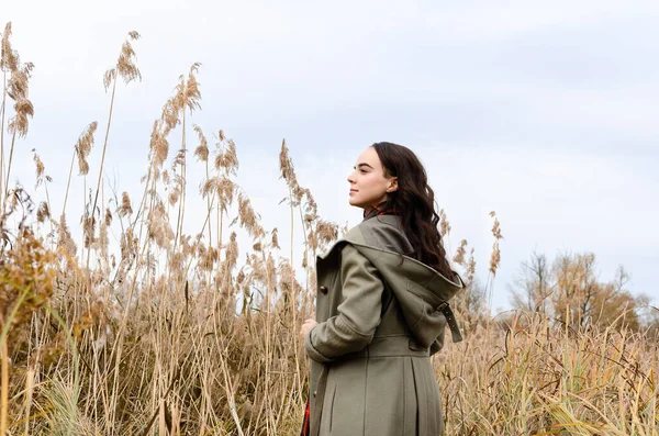 회색 가운을 입고 있는 젊은 꿈의 여인 이 푸른 갈대 밭에 서서 바라보고 있다. 스톡 사진