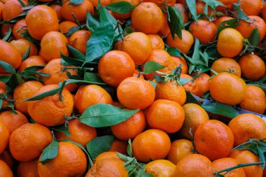 Markette satılık Clementine meyvesi