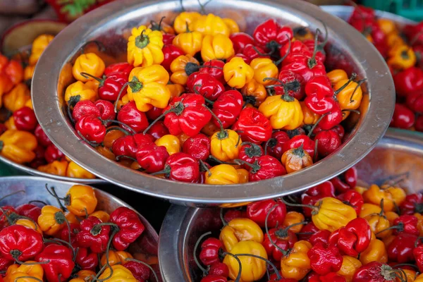 Pimenta Pimenta Picante Quente Colorida Capsicum Chinense Exposição Mercado — Fotografia de Stock