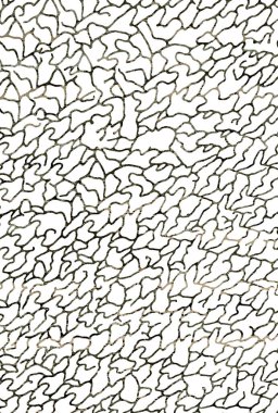 Halı ve Halı tasarımı sıkıntılı desen ve modern renklerle