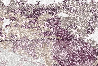 Halı ve Halı tasarımı sıkıntılı desen ve modern renklerle