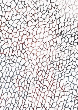 Halı ve Halı, sıkıntılı bir desen ve modern renklerle dizayn edilir.