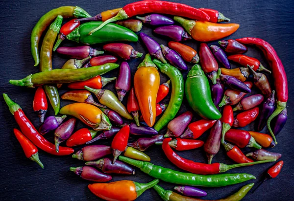 Colorful Chili Peppers Spices Assortment Fresh Dryed Peppers Cayenne Charleston Stock Picture