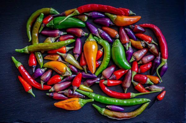 Colorful Chili Peppers Spices Assortment Fresh Dryed Peppers Cayenne Charleston Royalty Free Stock Images